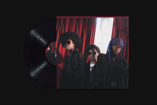 DON'T TRY IT VOL. 1 STANDARD VINYL 2LP